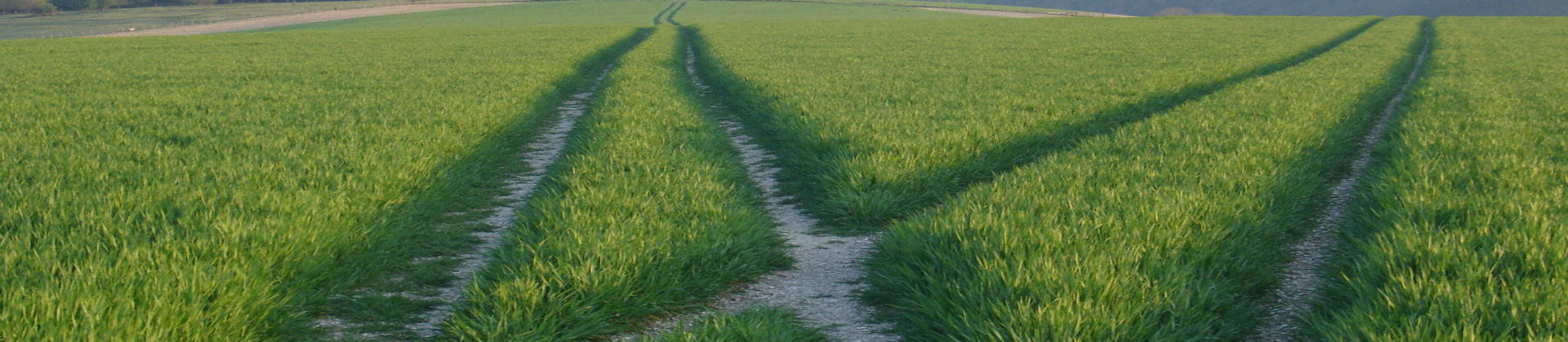 Picture of two tracks through a field